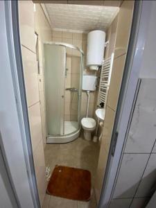 a small bathroom with a shower and a toilet at Stankovic Apartmani in Šabac