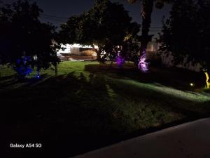 a yard lit up at night with purple lights at נוף לגלבוע in Bet Sheʼan