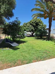 a swing in a park with palm trees and the ocean at נוף לגלבוע in Bet Sheʼan