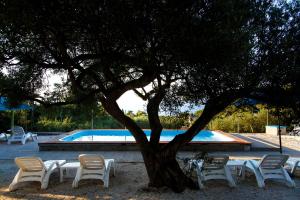 un grupo de sillas y un árbol junto a una piscina en Waterman Beach Village en Supetar