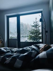 a woman laying in bed in front of a window at Apartmán Dole v Dole in Cerny Dul