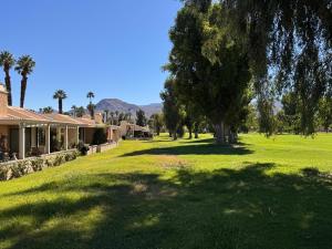 a green yard with a house and a tree at Charming & Cozy 2-Bedroom in the Heart of Cathedral City! in Cathedral City