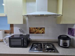 a kitchen counter with a stove and a microwave at Yeoncho Money Stay in Geoje 