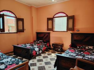 two beds in a room with orange walls and windows at Venti house in Aswan