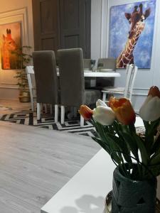 Ảnh trong thư viện ảnh của Petars apartment ở Zrenjanin