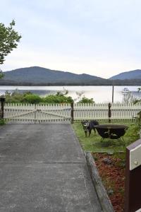 Příroda nedaleko prázdninového domu