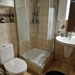 a bathroom with a shower and a toilet and a sink at Fiore Wellness Apartman in Zalakaros