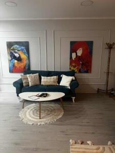 Ảnh trong thư viện ảnh của Petars apartment ở Zrenjanin
