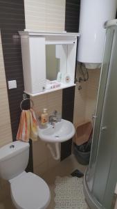 ห้องน้ำของ Apartment Krstin Banja Vrujci