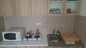 a kitchen counter with a microwave and a sink at Apartment Krstin Banja Vrujci in Gornja Toplica +4 photos