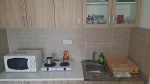 encimera de cocina con microondas y fregadero en Apartment Krstin Banja Vrujci en Gornja Toplica
