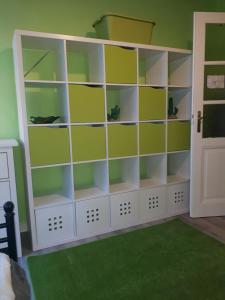 a room with green walls and white shelves at Wahlmann bed &breakfast in Hannover