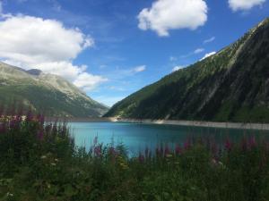 a view of a mountain lake with flowers in the foreground at Gästehaus Regina in Uderns