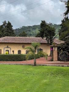 a house with a palm tree in front of it at Hotel Monumento Hacienda de Amoltepec in Zacatlán +8 photos