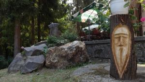 Vonkajšia záhrada v ubytovaní Ezüstfenyő Hotel