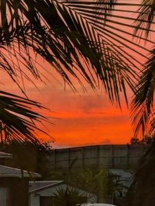 a sunset seen through the leaves of a palm tree at Topsy Turvey Mangonui Self-Contained Guest Apartment in Mangonui +3 photos
