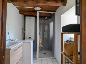 a bathroom with a shower and a sink and a counter at Gîte rénové pour 4 pers. avec accueil équin, Saint-Front - FR-1-582-538 in Moudeyres +23 photos