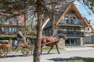 Zvieratá v ubytovaní bed & breakfast alebo blízkom okolí