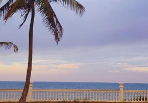 Φυσικό τοπίο κοντά σε αυτό το διαμέρισμα