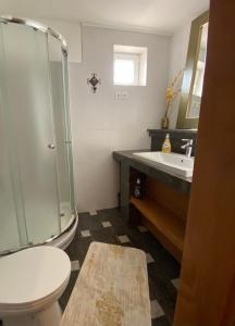 een badkamer met een douche, een toilet en een wastafel bij Hostel Mornar in Velika Kladuša