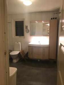 ストックホルムにあるLägenhet 2 sovrum med vardagsrum och kök i villa med gemensam ingångの洗面台とトイレ付きのバスルーム