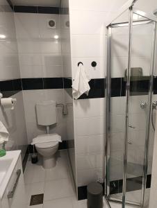 a bathroom with a toilet and a glass shower at Luxury suites Marušić sobe  +7 photos