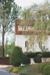a white house with a tree and bushes at Casa Firmenich in Eckberg