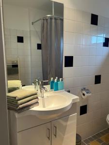 a bathroom with a sink and a mirror at Bed en Breakfast In het Fruit in Zuidoostbeemster