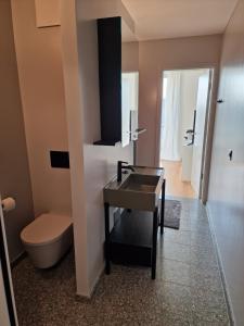 a bathroom with a toilet and a sink in it at Lumi, modernes Attika-Refugium in Derendingen +11 photos