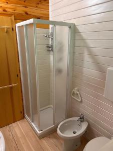 Koupelna v ubytování Chalet Lilly Andalo Relax & Sport + 28 fotografií