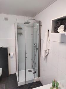 a bathroom with a shower and a toilet at Maison indépendante proche de Liège -Séjour nature & confort in La Salle