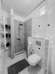 a white bathroom with a toilet and a shower at La Maison de haut in Tunis +18 photos