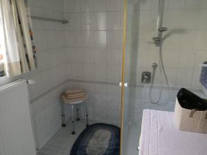 Un baño con ducha, inodoro y lavabo. en Haus Lois, en Weissbriach