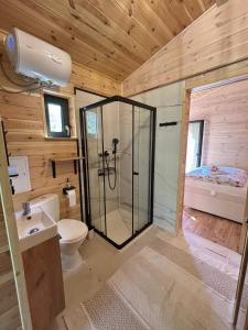 a bathroom with a shower and a toilet and a sink at Le Petitou in Všeruby +20 photos