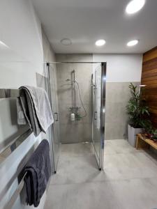 y baño con ducha y cabina de ducha acristalada. en Rosis Appartement, en Wiener Neustadt