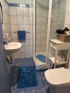 a bathroom with a shower and a toilet and a sink at Tritzi house in Mesochórion