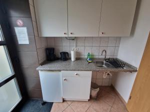 a small kitchen with white cabinets and a sink at 1 Zimmer Apartment zentral zur Kurklinik in Bad Oeynhausen