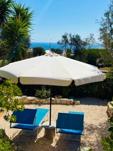 Naturlandskabet i nærheden af feriehuset