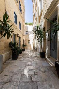 バレッタにあるMagic romantic escape in the heart of Vallettaの鉢植えの旧市街の路地