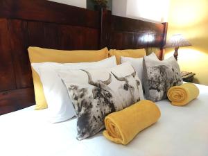 a bed with several pillows on it at The Anvil Rest Cottage in Calitzdorp
