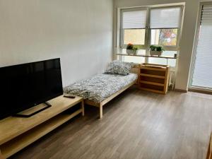 a living room with a couch and a flat screen tv at Gemütliches Apartment in zentraler Lage in Ingolstadt
