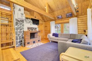 a living room with a couch and a fireplace at Villa Aurora - Valkea Homes in Pelkosenniemi