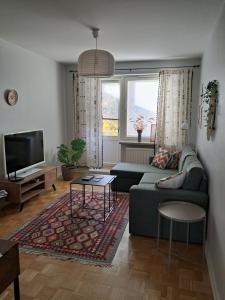 Una sala de estar con un sofá y un televisor. en Kiva asunto Vääksyn kanavalla, en Asikkala