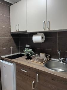a kitchen with a sink and white cabinets and a counter at Apartmani Rajić, Tara in Kaludjerske Bare +43 photos
