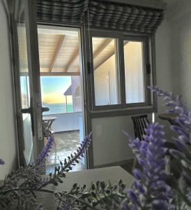 Κήπος έξω από το Blue Horizon Apartment +23 φωτογραφίες