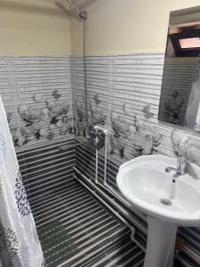 a bathroom with a sink and a shower at ZARIN Guest house in Bukhara