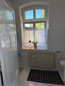 a bathroom with a window and a toilet and a rug at Ferienwohnung ElbGlück in Lauenburg