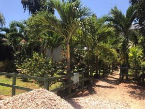 a fence with palm trees in a garden at Diani's Little Gem in Ukunda
