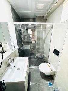 a bathroom with a sink and a shower and a toilet at Hagia Sophia Palace Hotel in Istanbul