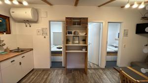 a kitchen with a sink and a room with a bed at Hiška Darwin in Podčetrtek